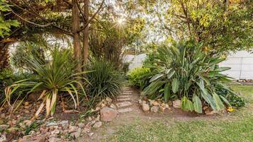 Un sendero en un jardín con diversas plantas y un muro blanco al fondo.