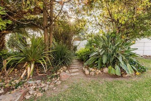 A garden pathway with various plants and a white wall in the background. - Cozy Bachelor Apartment, Best Value for Money (Alberton)