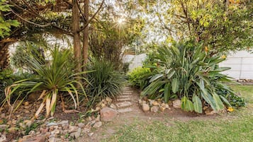 Um caminho no jardim com diversas plantas e uma parede branca ao fundo.
