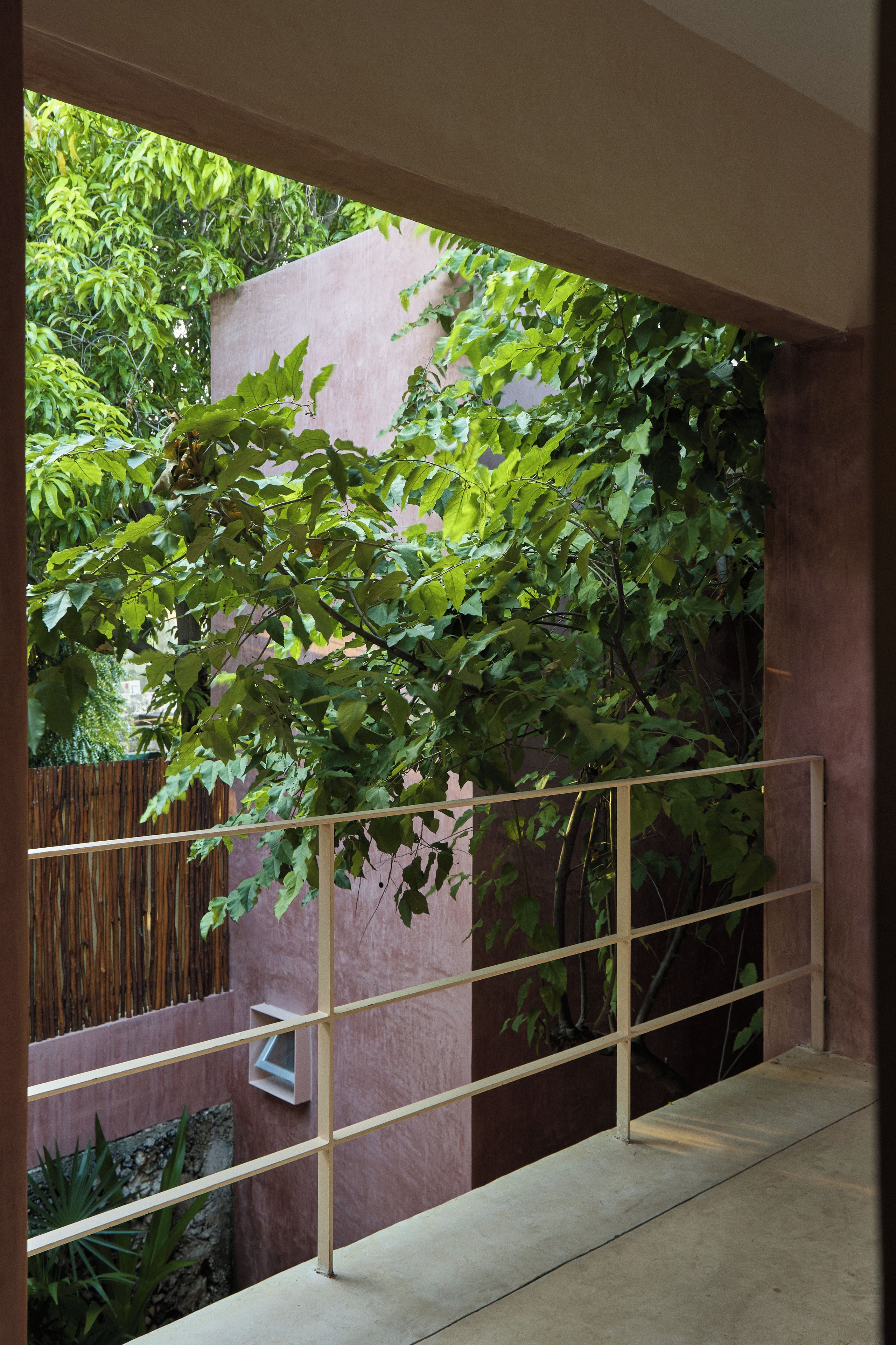 A balcony with a metal railing, surrounded by lush green foliage and a pink wall.