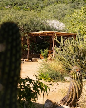 A desert landscape with a wooden structure, cacti, and a variety of shrubs.