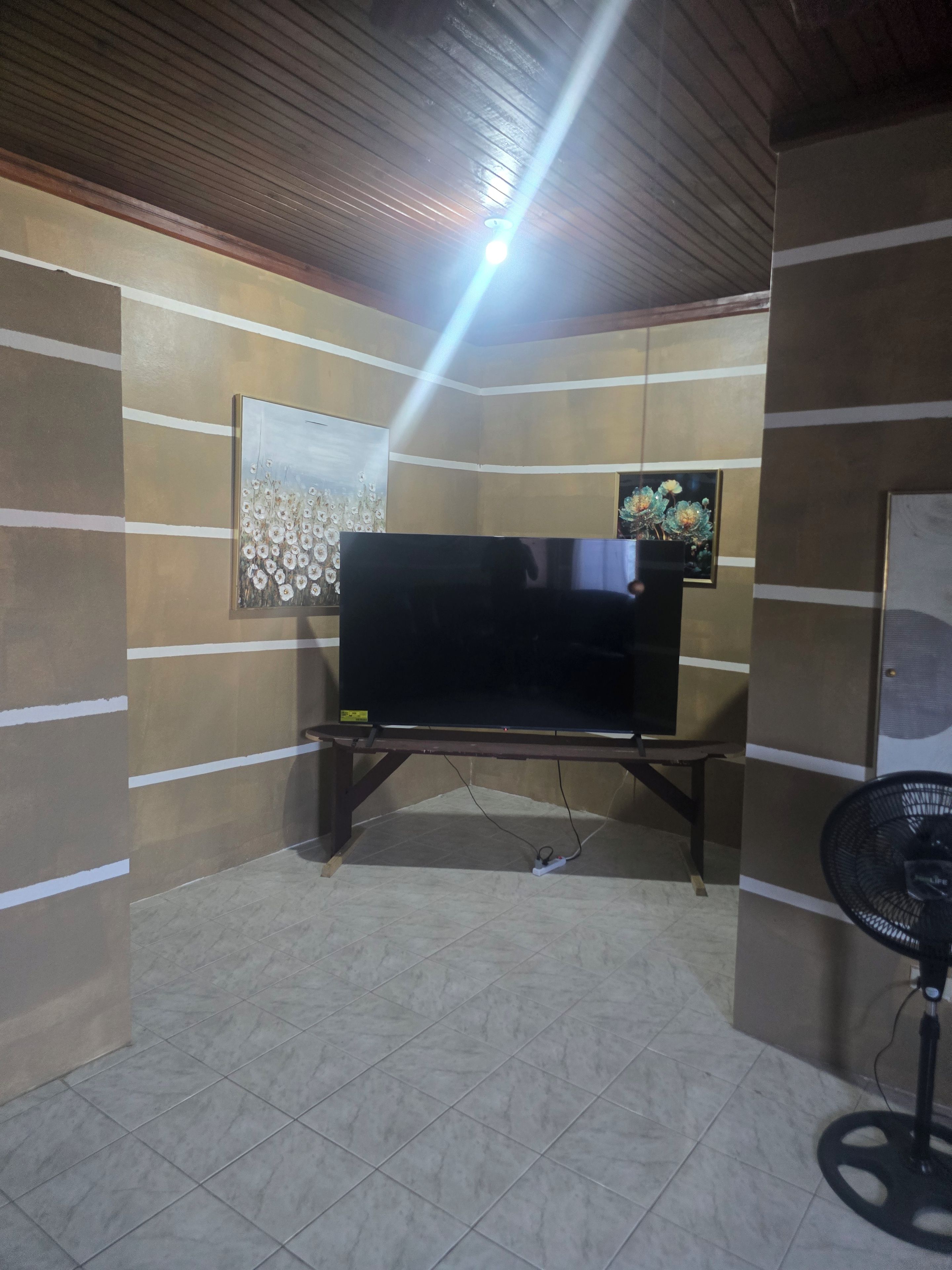 A room with a flat-screen TV on a stand, a standing fan, and artwork on the walls.