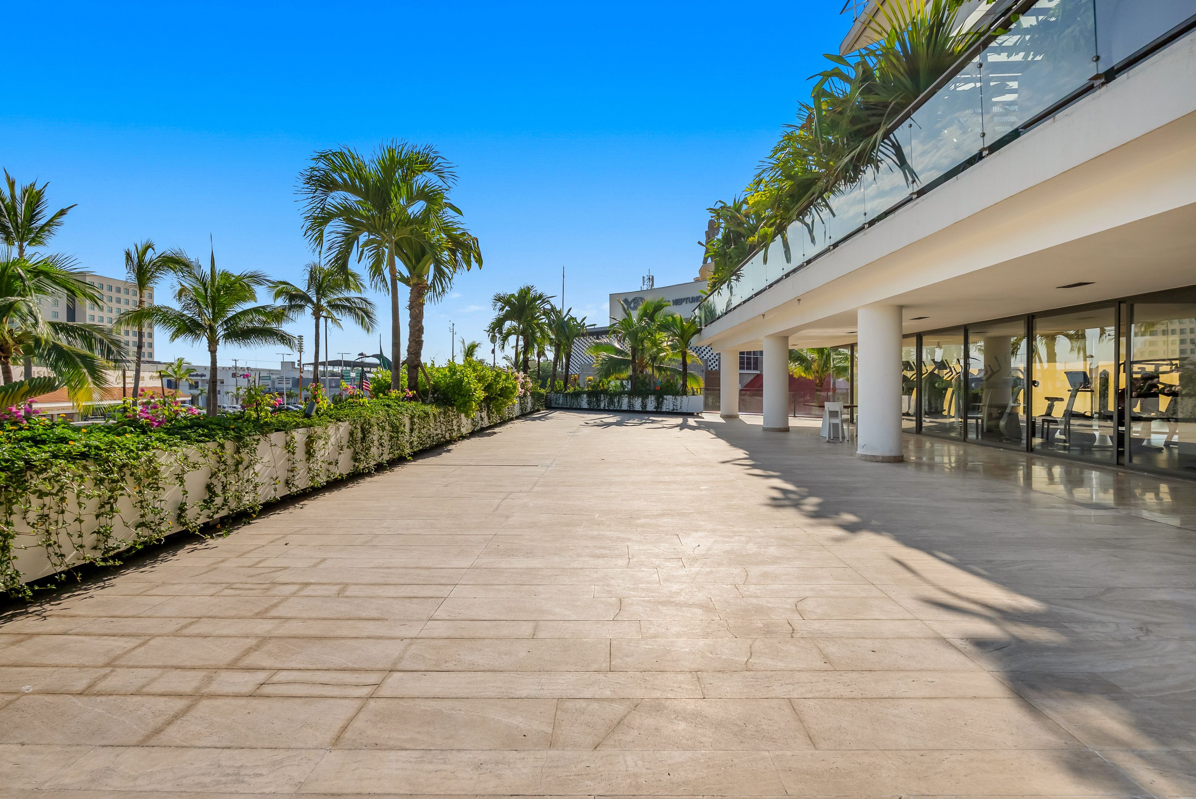 Un amplio pasillo exterior con palmeras, piso de baldosas y edificios modernos al fondo.
