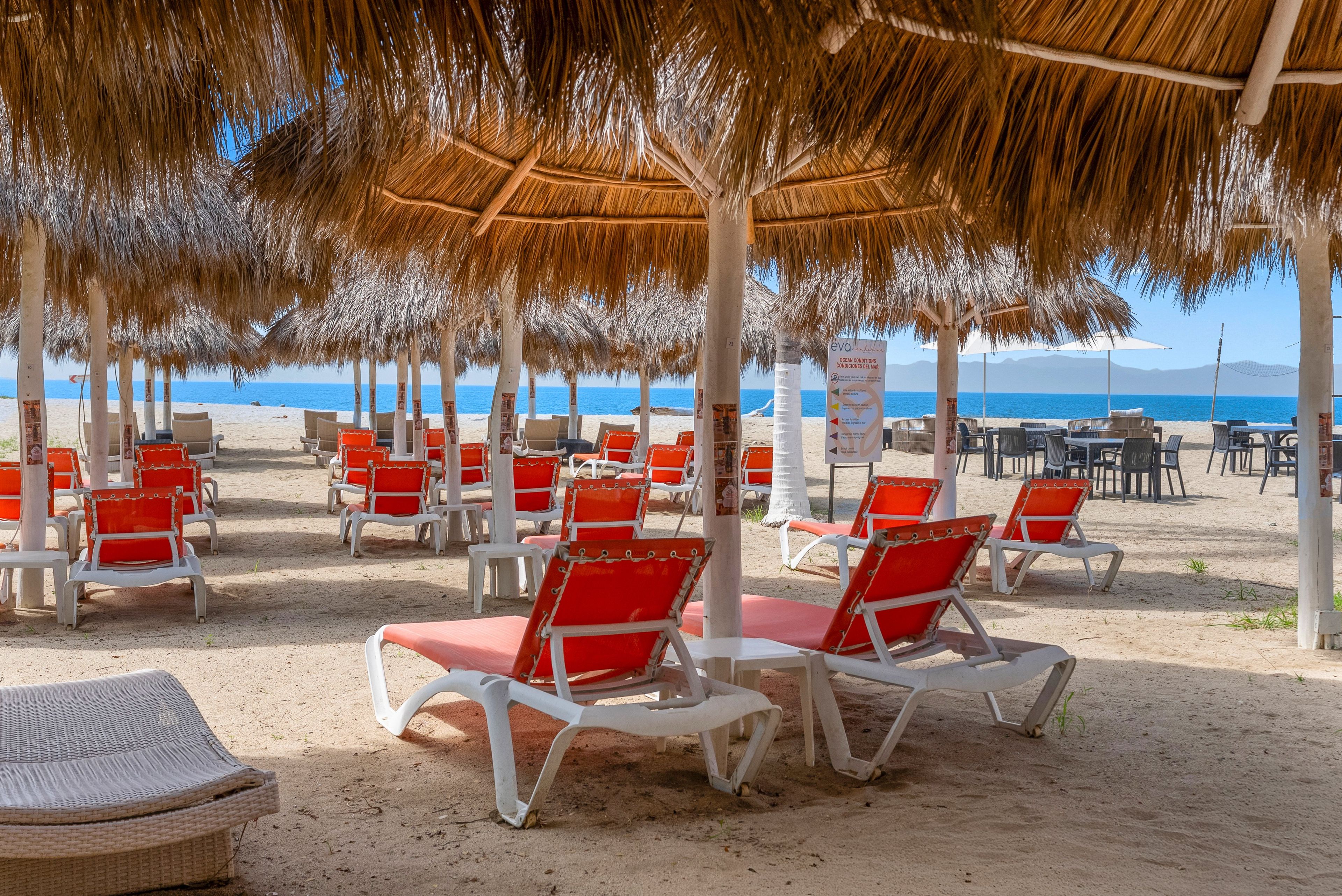 Un espace de détente aménagé sur la plage, avec des rangées de chaises longues blanches et rouges disposées sous des parasols en chaume, offrant une vue sur la mer.