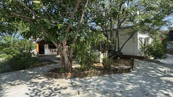 A courtyard with a tree, a small structure, and a white building.