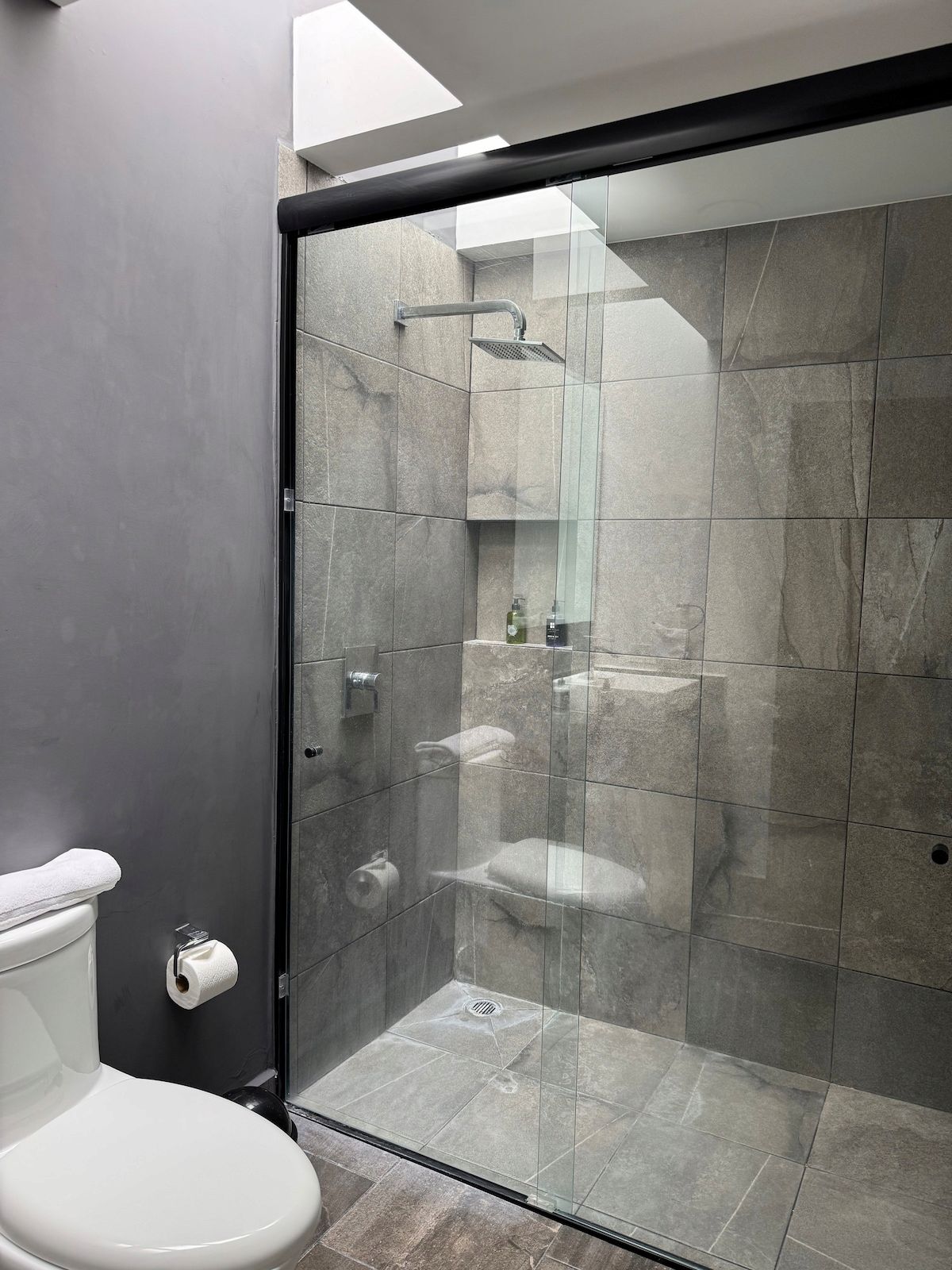 Un bagno moderno con doccia vetro, un water e un porta asciugamani.