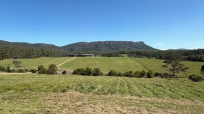 A rural landscape with a large open field, a building with a flat roof, and a mountain in the background.