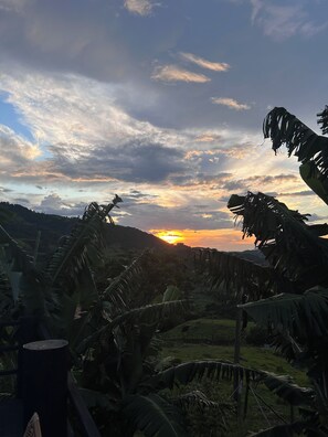 Atardecer sobre un paisaje montañoso con palmeras bananeras y una valla de madera.