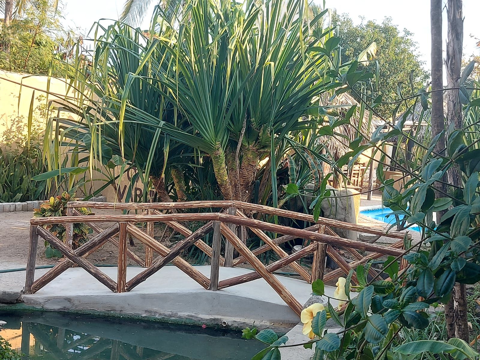 Een houten bruggetje over een kleine waterpartij, omringd door tropische planten.