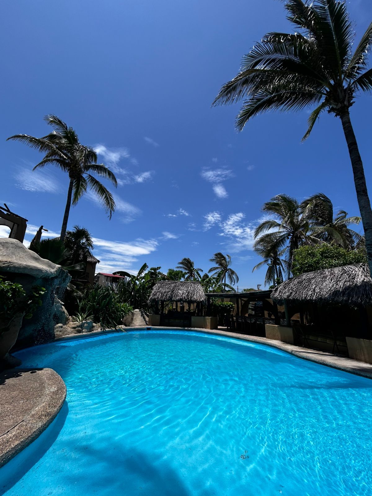 A clear blue pool surrounded by palm trees and thatched-roof structures.