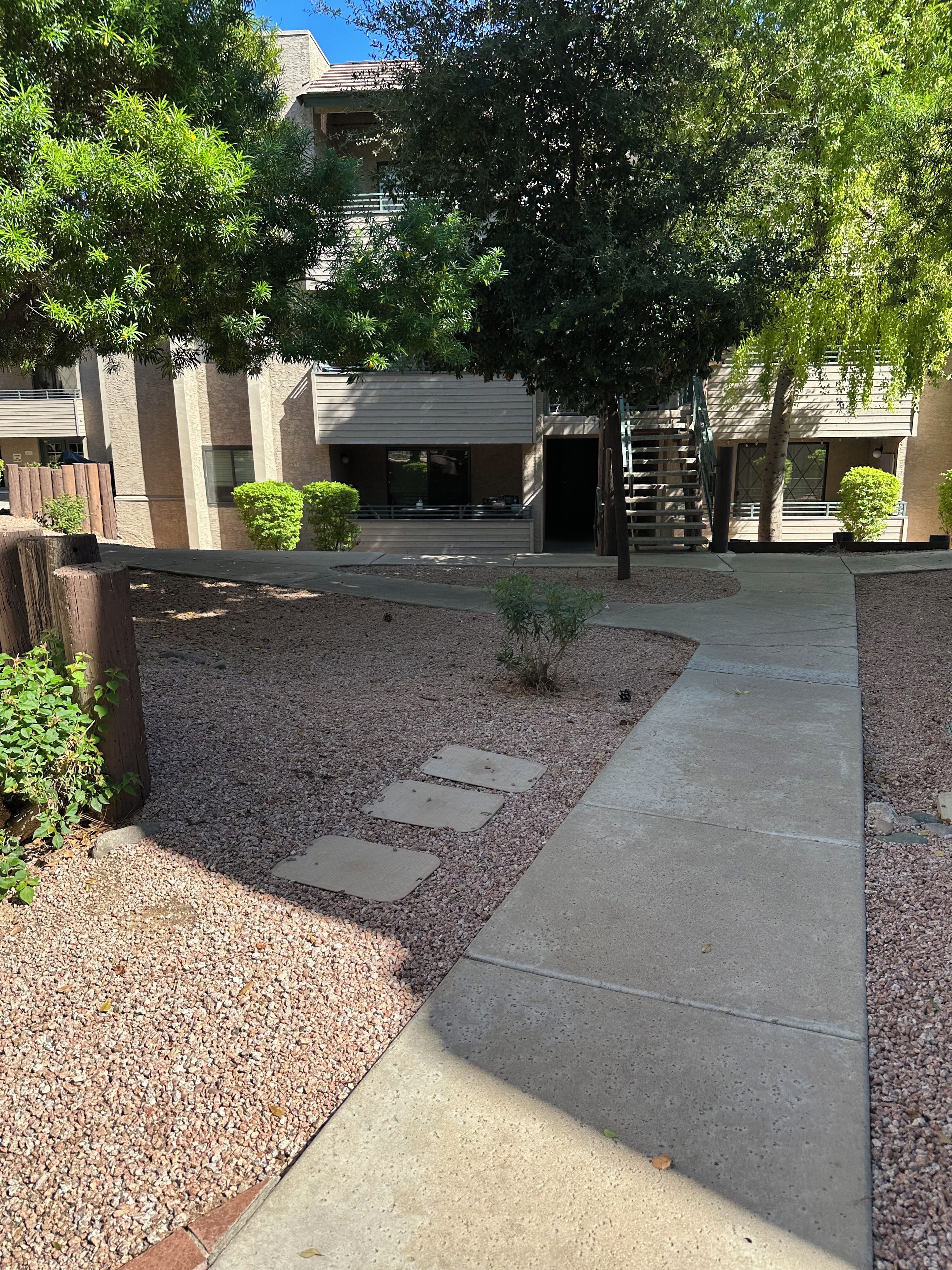 A courtyard with a gravel path, a wooden fence, and a building with a flat roof in the background.