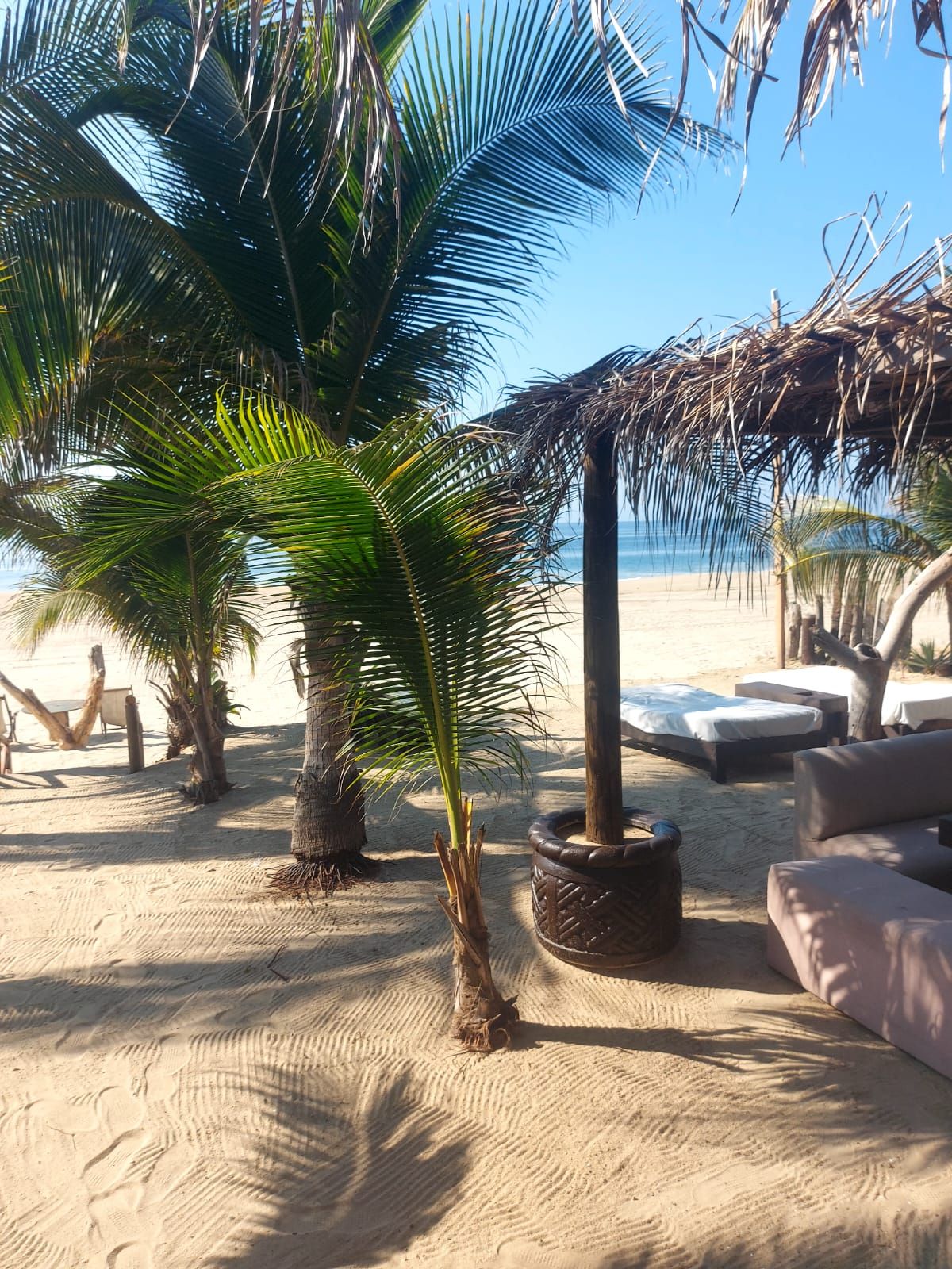 Un espace de détente aménagé au bord de la plage, avec des palmiers, un toit de chaume et des sièges en plein air.