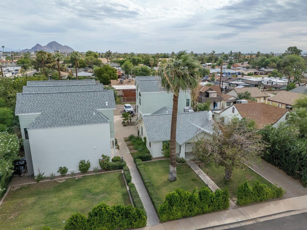 A residential area with houses, a palm tree, and a mountain in the distance.