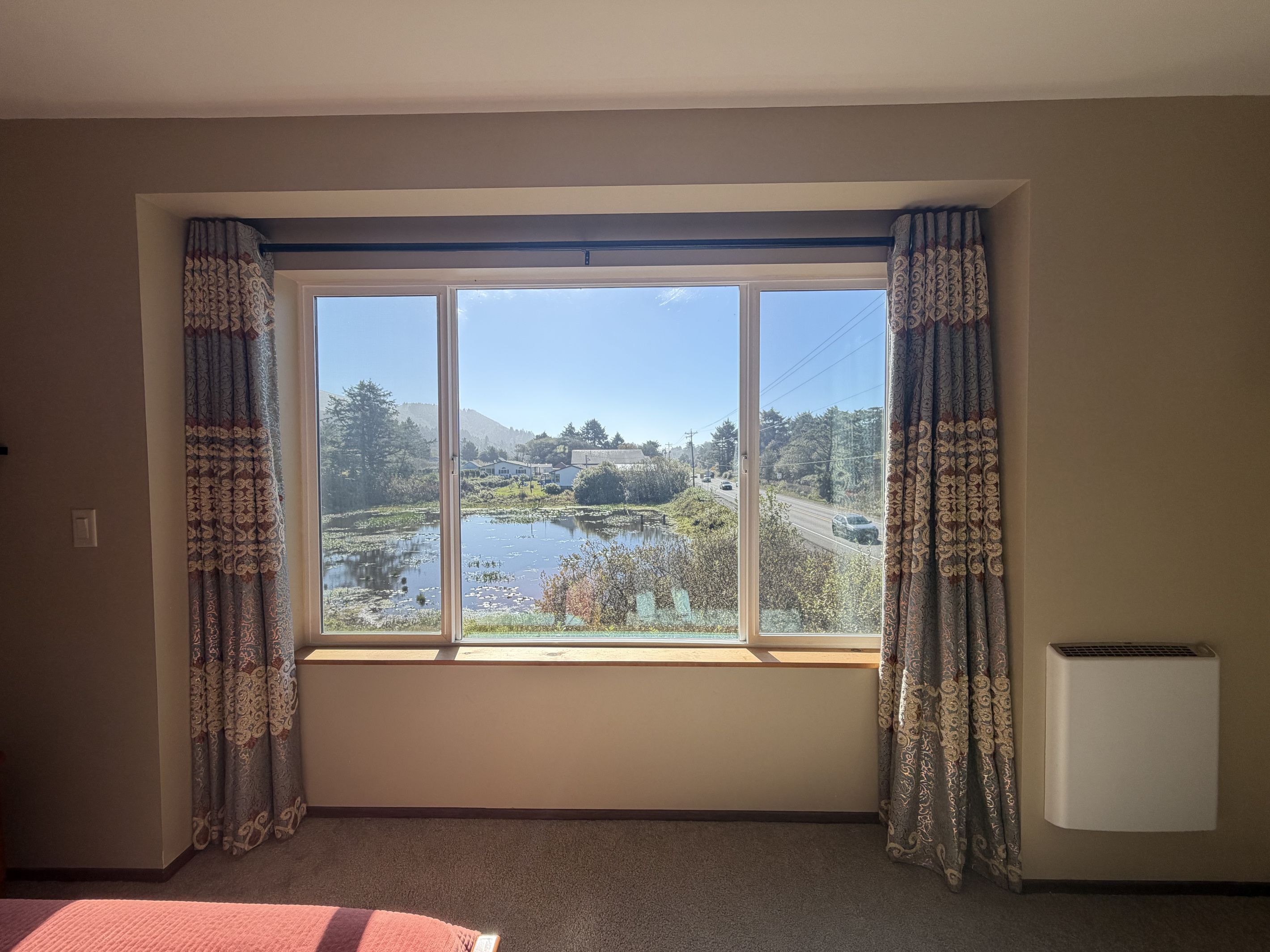 A room with a large window, curtains, a radiator, and a carpeted floor.