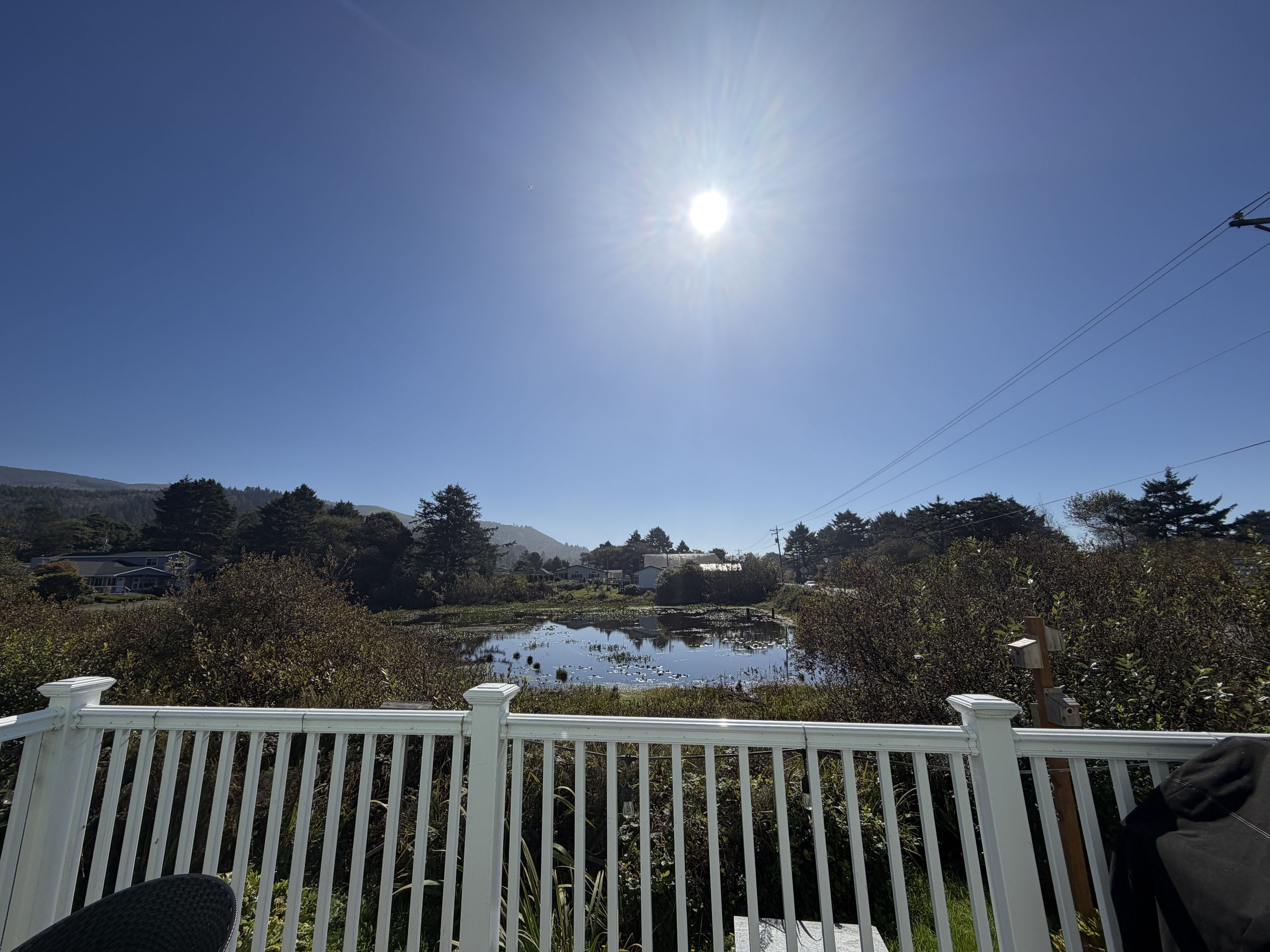 A clear sky with the sun shining, a white fence, and a pond with vegetation.
