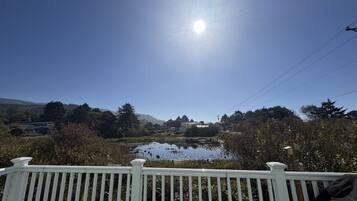 A clear sky with the sun shining, a white fence, and a pond with vegetation.