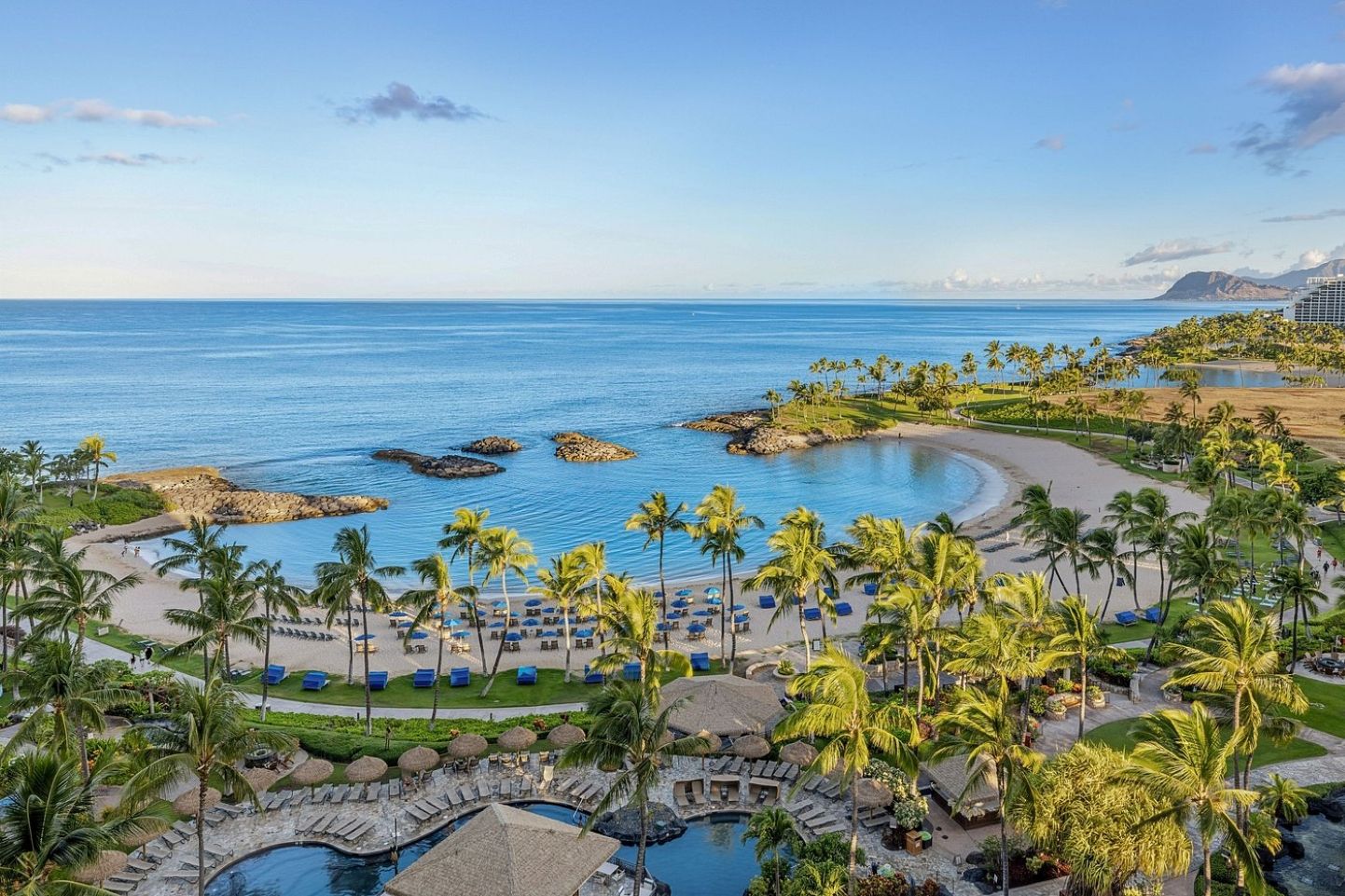 Un complexe hôtelier doté d’une piscine, d’une plage et de palmiers.