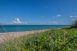 A beach with clear blue water, sandy shore, and green vegetation. - Gulfstream | Sunrise Beach Days | Pool + Beach (Gulfstream)