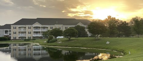 A residential building with multiple balconies, a pond, and a grassy area.