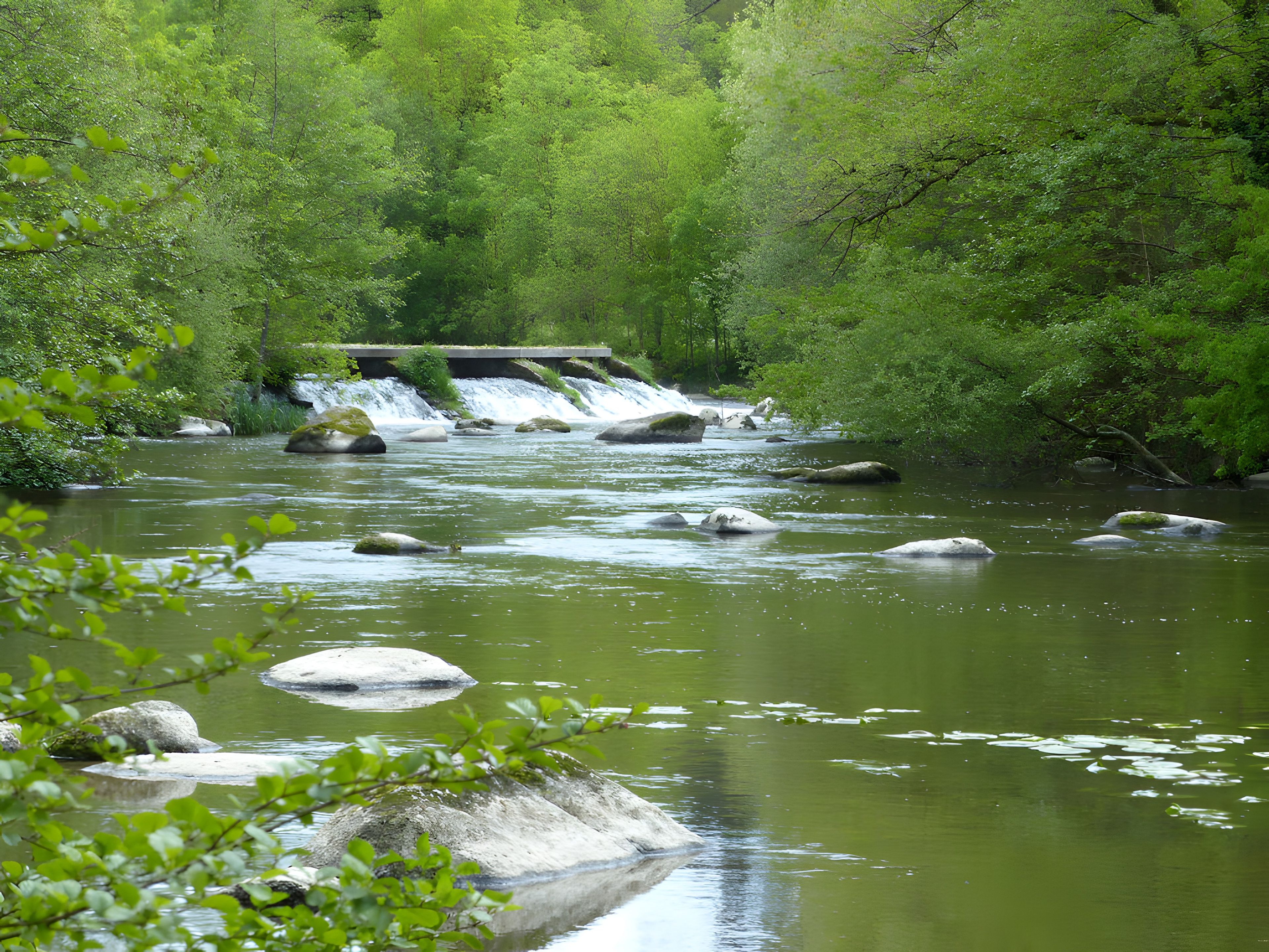 Un riu que flueix a través d'una forest amb roques i una cascada al fons.