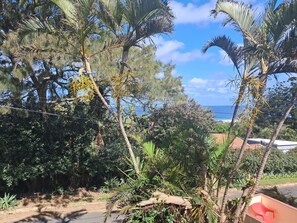 Beach - Room-balcony View With Lovely Sea (Port Shepstone)