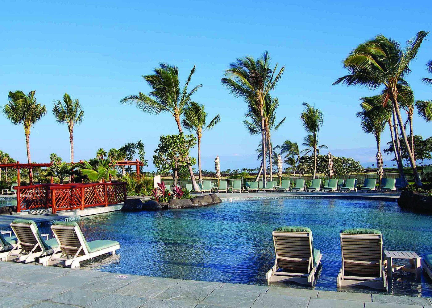 Un área de piscina con sillones de descanso, palmeras y cielo despejado.