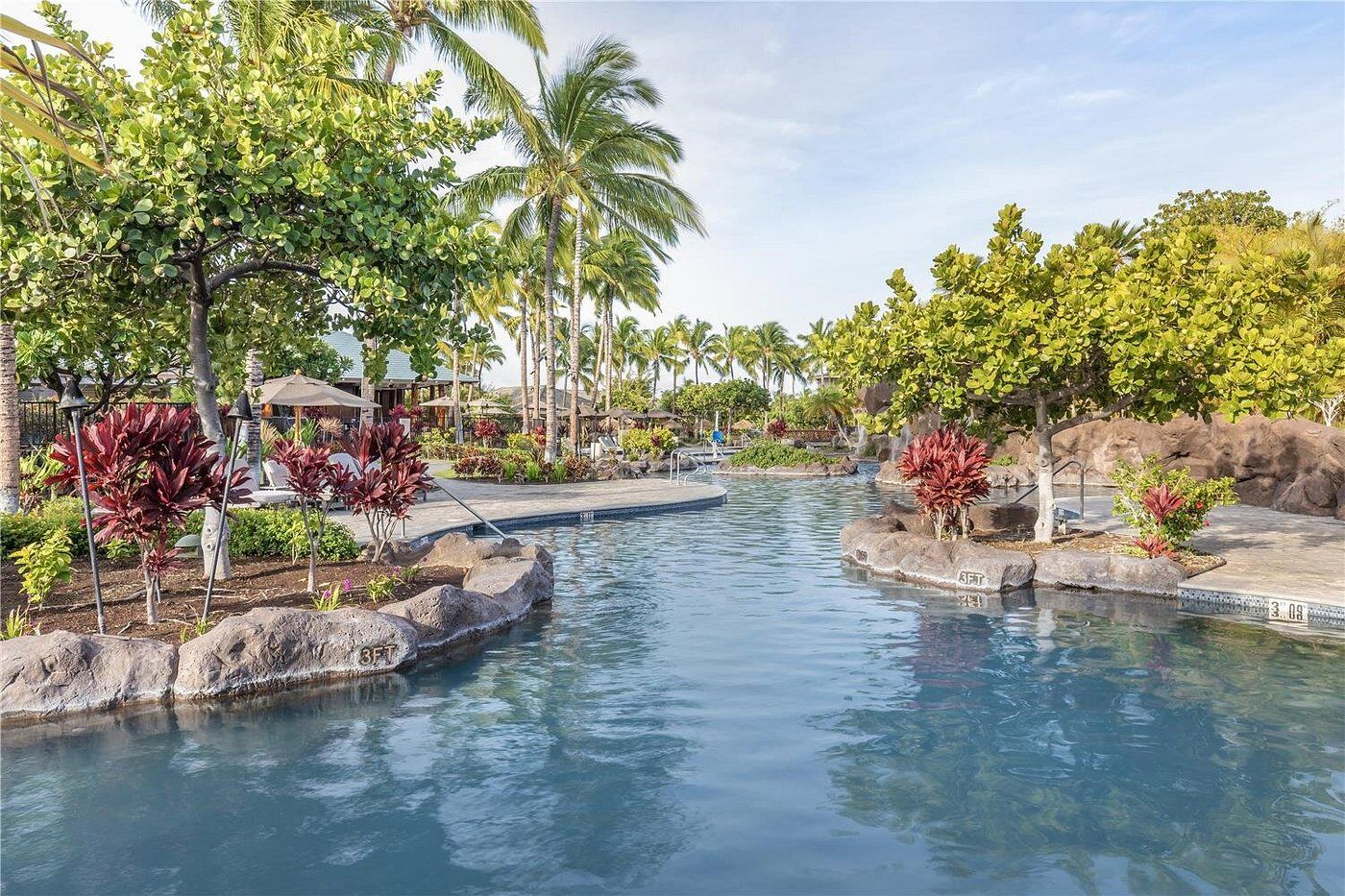 A pool area with clear water, surrounded by tropical vegetation and palm trees.