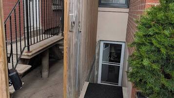 A narrow stairway leading to a door, a small window, and a green bush.