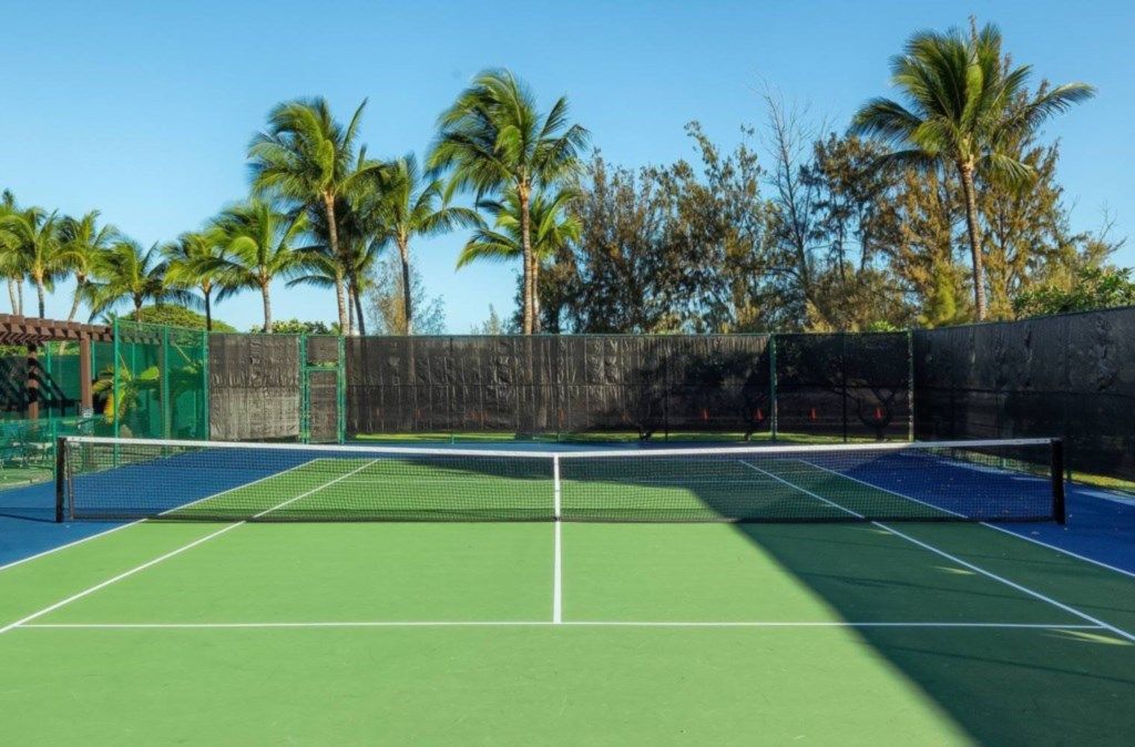 A tennis court with a net, surrounded by palm trees and a fence.