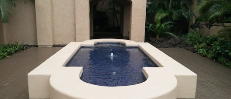 A pool with a unique design, surrounded by a paved walkway and palm trees.