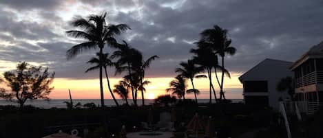 A resort with a pool, palm trees, and a view of the sunset.