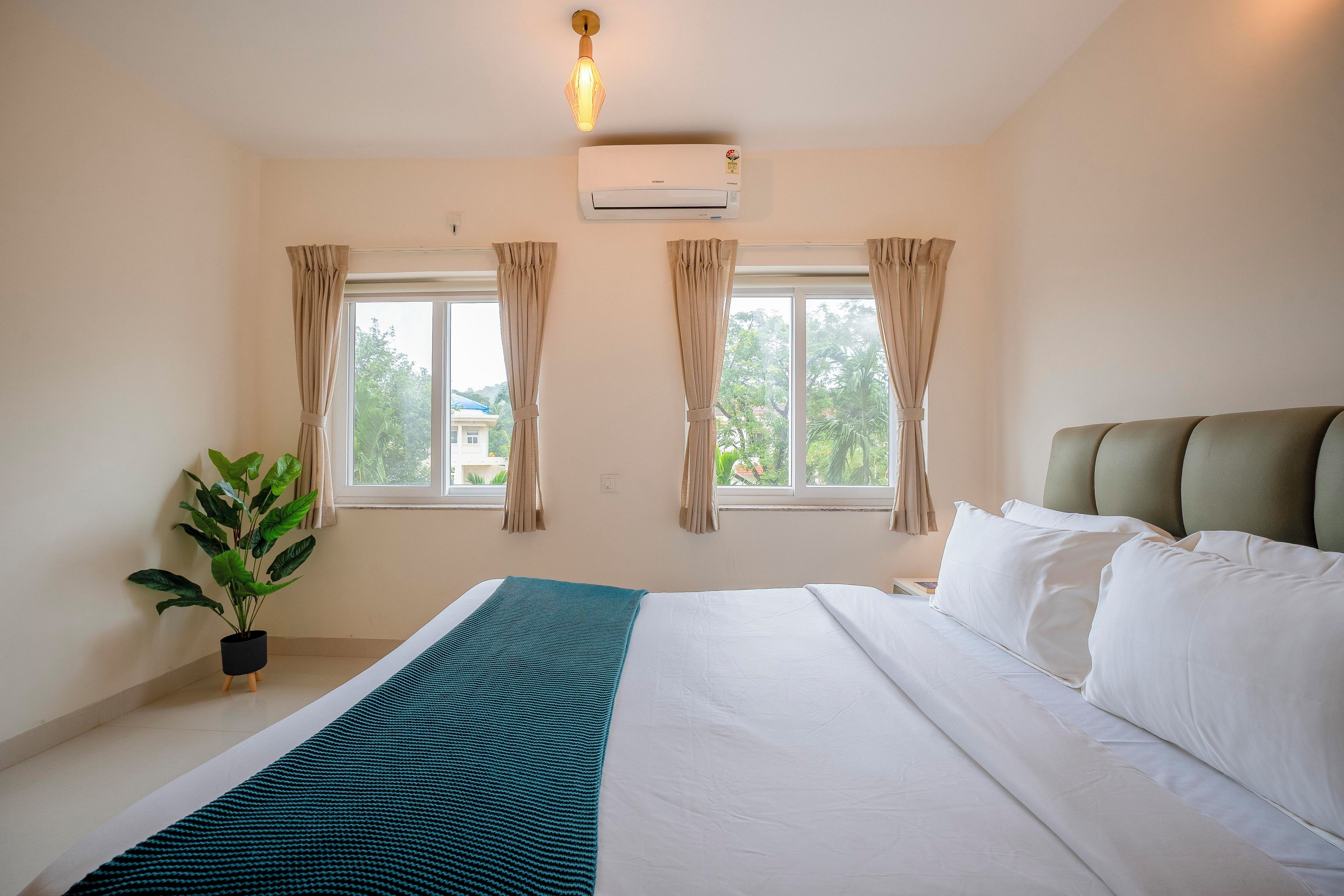 A hotel room with a bed, a potted plant, and two windows with curtains.