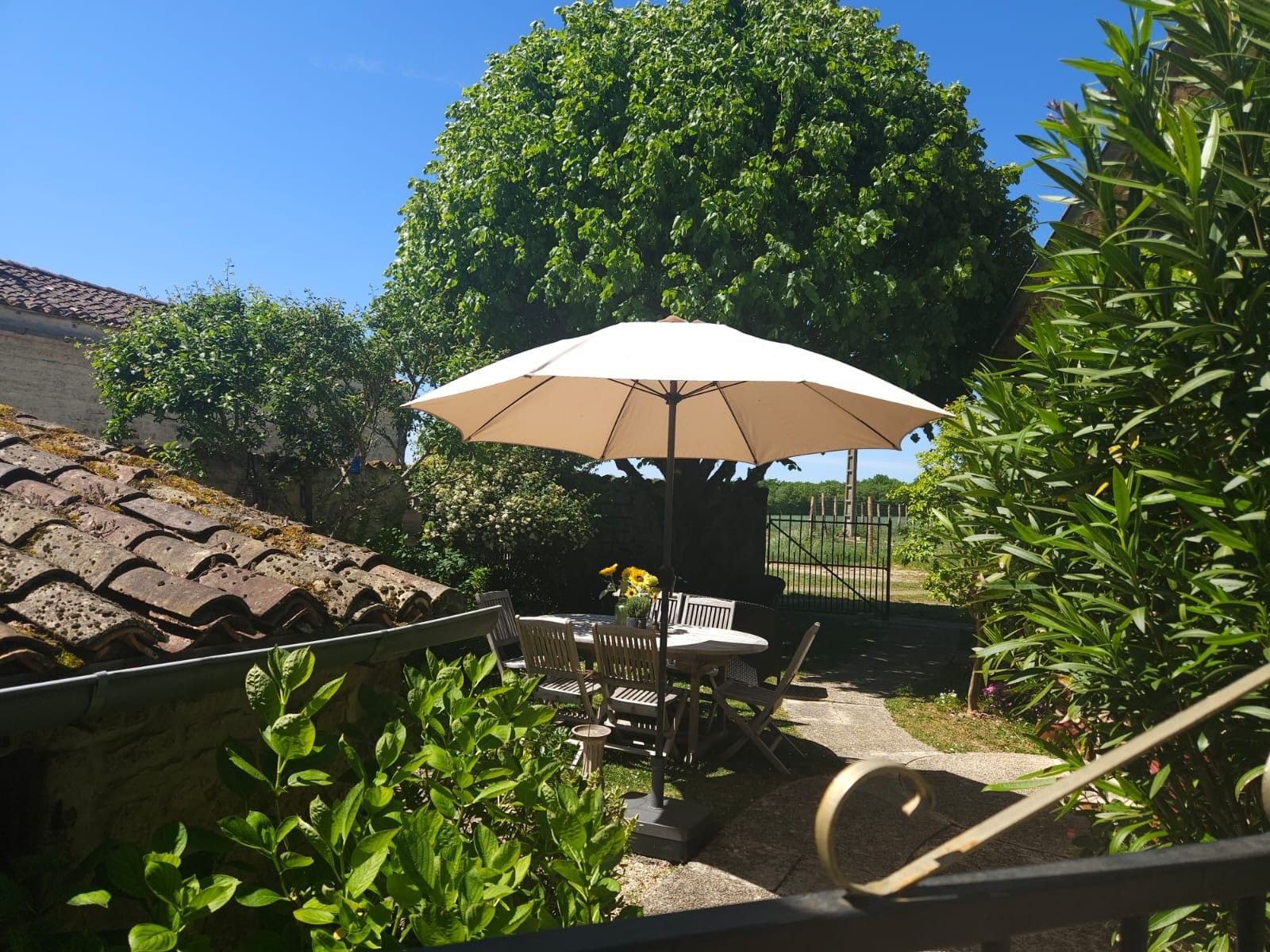 Un espace extérieur aménagé avec une table et des chaises, protégé par un grand parasol, et entouré de verdure et d’un arbre.