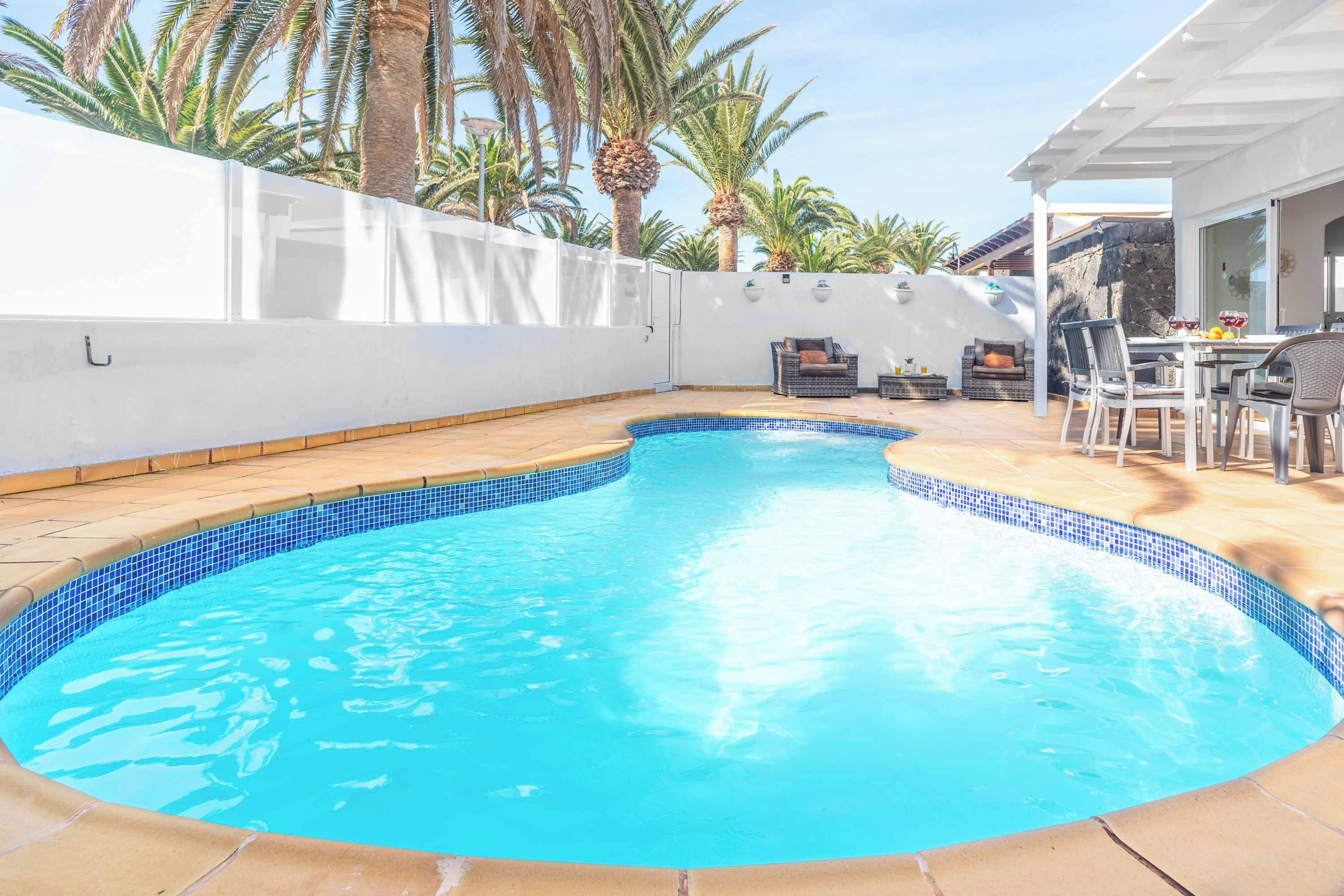 A swimming pool with a tiled edge, surrounded by a white wall and palm trees.