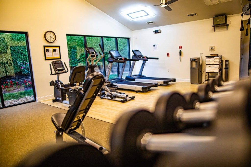 A gym with cardio machines, weightlifting equipment, and a large window with a view of greenery.