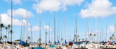 A marina with multiple sailboats docked, calm water, and palm trees in the background.