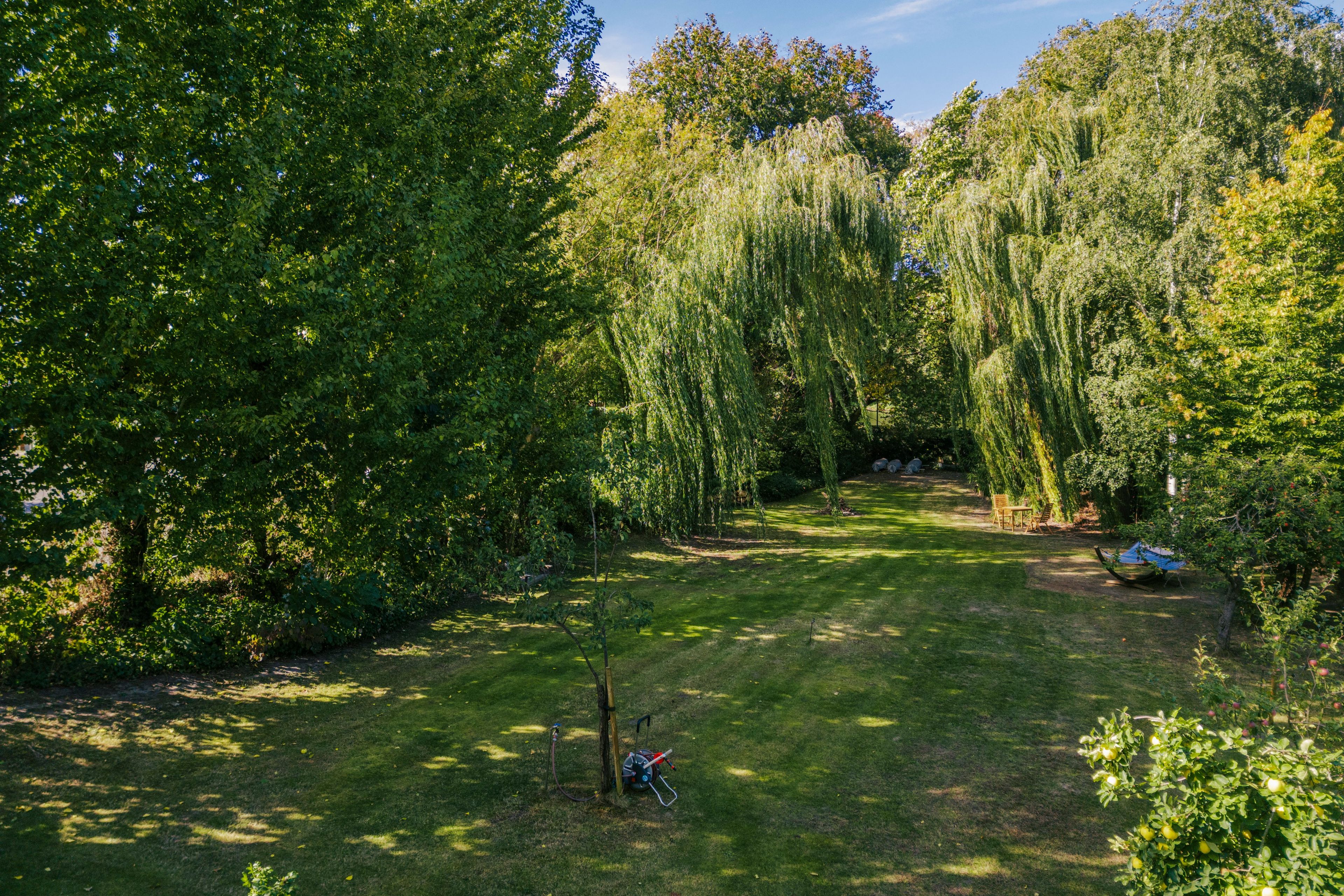 Ein gepflegter Garten mit verschiedenen Bäumen, einer Rasenfläche und Gartenmöbeln.