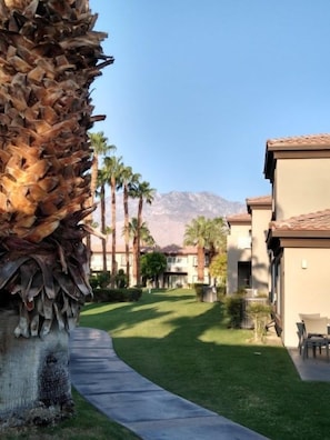 A residential area with a curved pathway, palm trees, and a mountain in the background. - Palm Springs | Easy Access Studio Stay | Pool + Spa (Cathedral City)