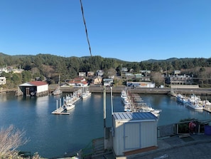 Un port esportiu amb diversos vaixells amarrats, un edifici petit i cases al fons.