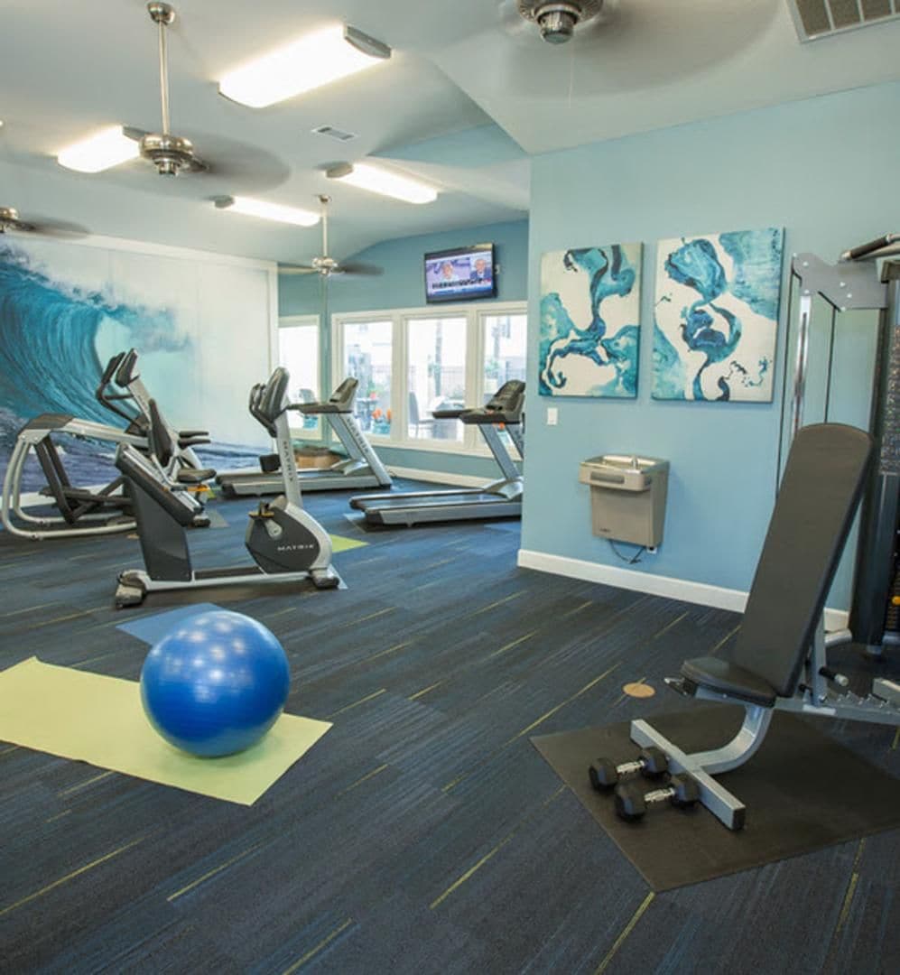 Un gimnasio con equipo de ejercicio, una pelota de ejercicio azul y obras de arte en las paredes.