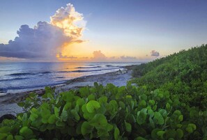 A coastal landscape with a sunset, ocean waves, and dense green vegetation. - Isla Mujeres | Romantic Beach Retreat | Pool + Beach (Isla Mujeres)