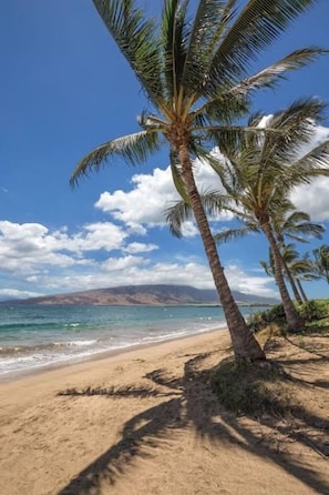 Ein Strand mit Palmen und wolkenlosem, blauem Himmel.