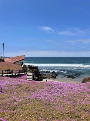 A coastal view with a building, a wooden deck, and purple flowers. - Rosarito | Family Beach Retreat | Pool + Beach | 2BR (Rosarito)