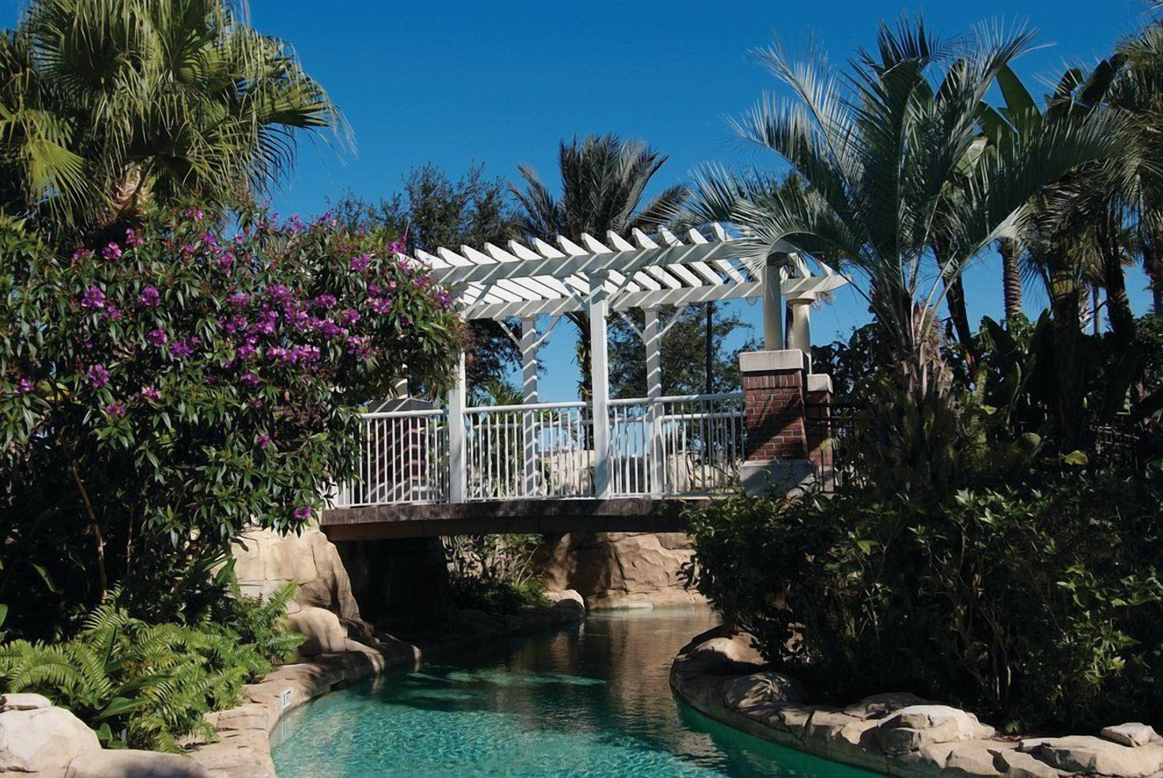 A pool area with a bridge, palm trees, and a pergola.