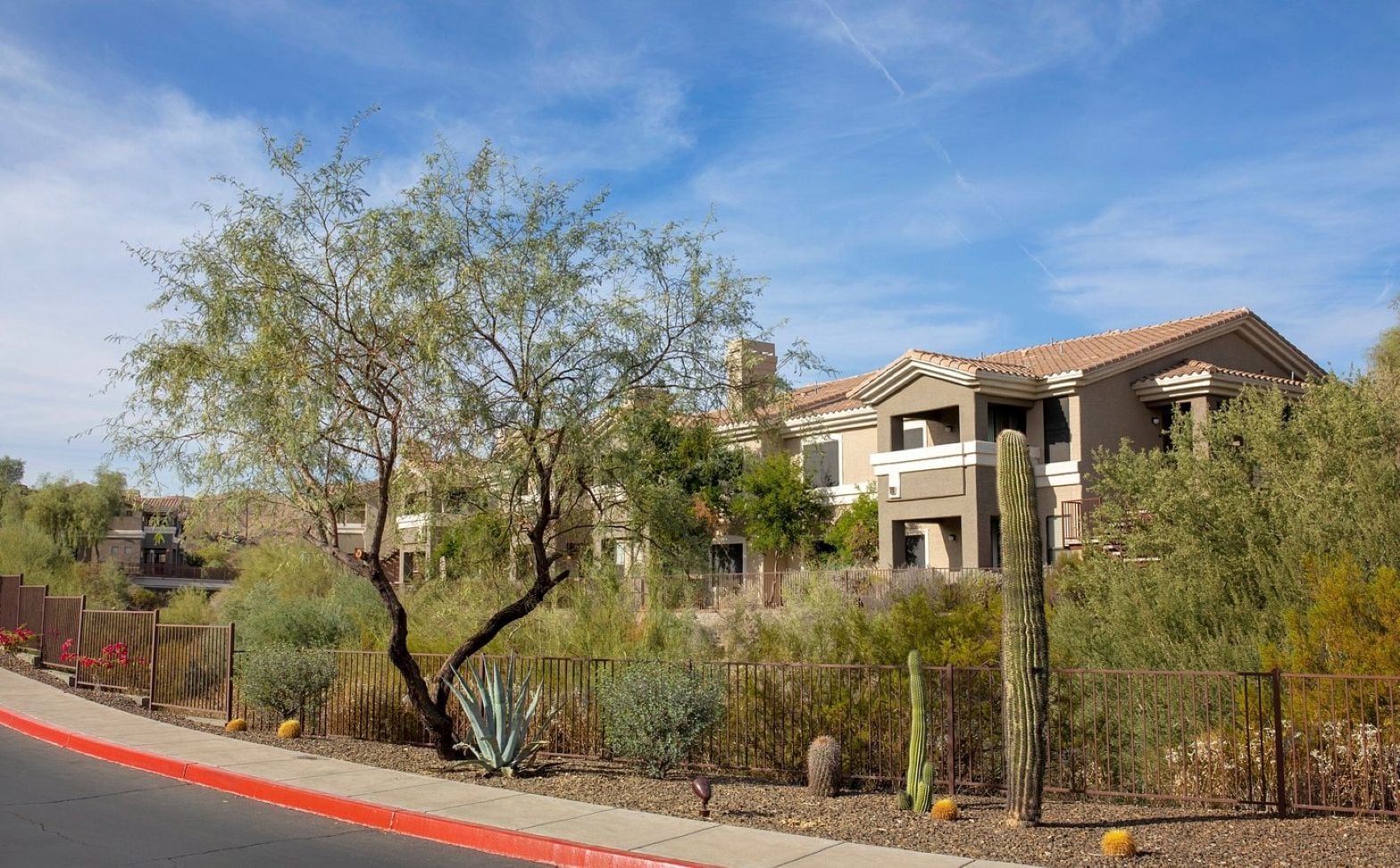 A residential area with a house featuring a flat roof and a fenced yard with various plants and a cactus.