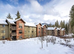 Un conjunto de edificios de varios pisos con balcones, rodeado de suelo y árboles cubiertos de nieve.