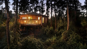A wooden cabin with a deck, surrounded by dense forest. - Orlando | Family Treehouse Retreat | Pool + Spa (Lake Buena Vista)