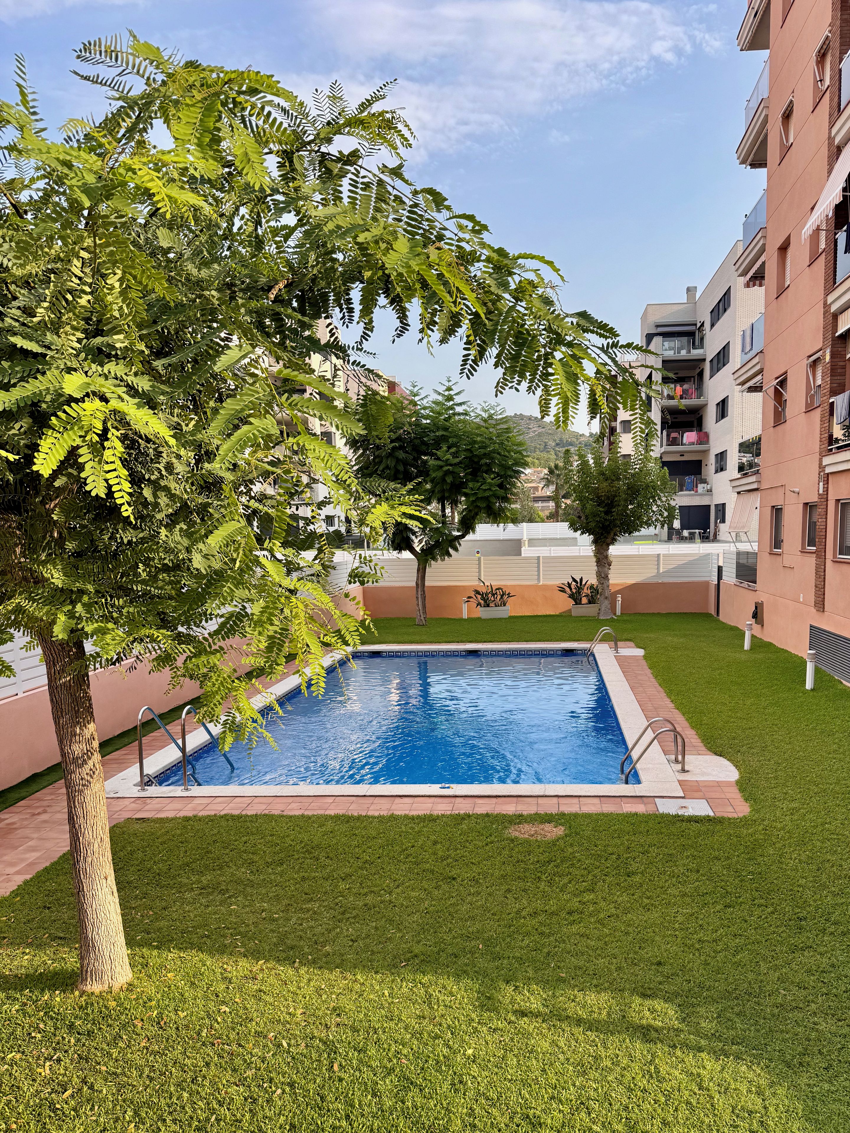 Una piscina rodeada de césped, con un árbol en primer plano y un edificio al fondo.