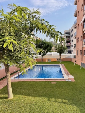 Piscina cercada por grama, com uma árvore ao primeiro plano e um edifício ao fundo.