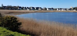A residential area with houses, a body of water, and a grassy field.